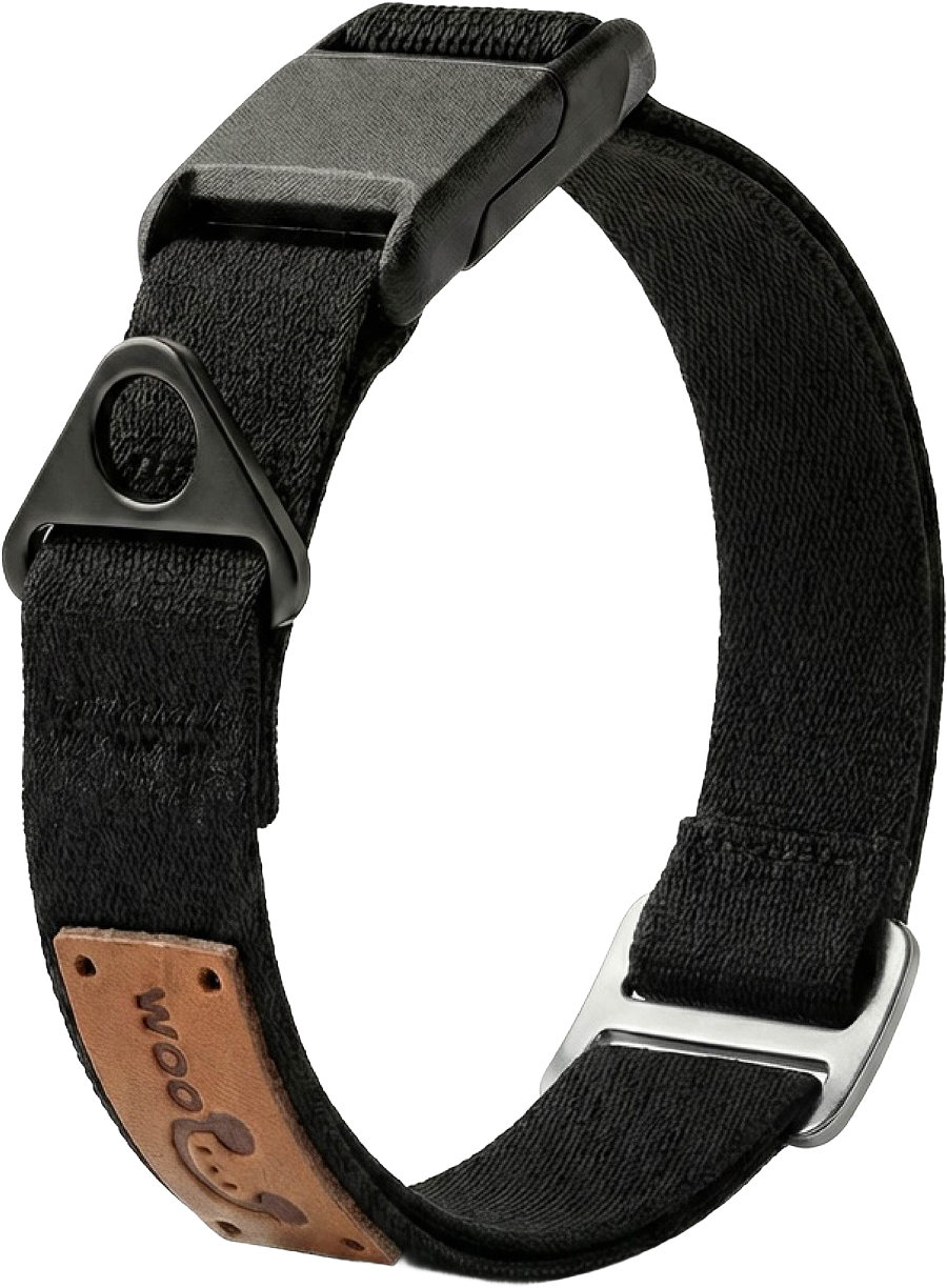 Magnetic Dog Collar Designed For Everyday Comfort