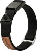 Magnetic Dog Collar Designed For Everyday Comfort
