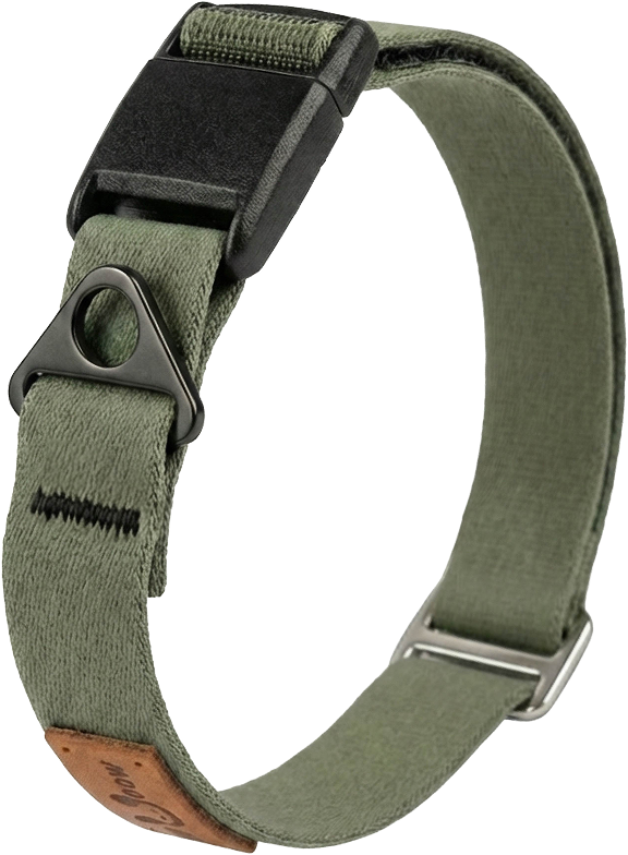 Magnetic Dog Collar Designed For Everyday Comfort