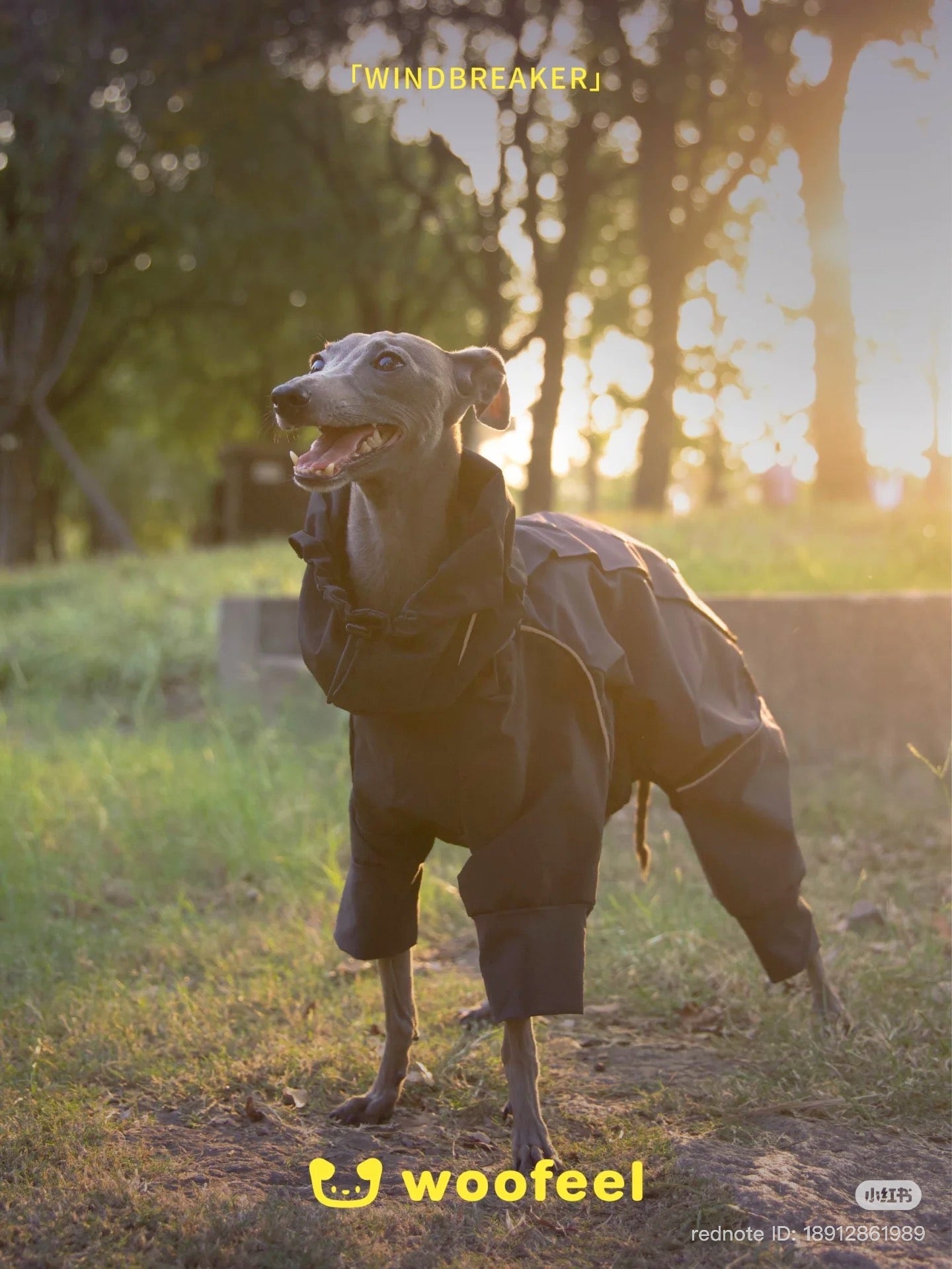 Woofeel Hard Shell Dog Jacket