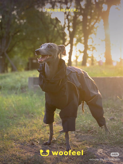 Woofeel Hard Shell Dog Jacket