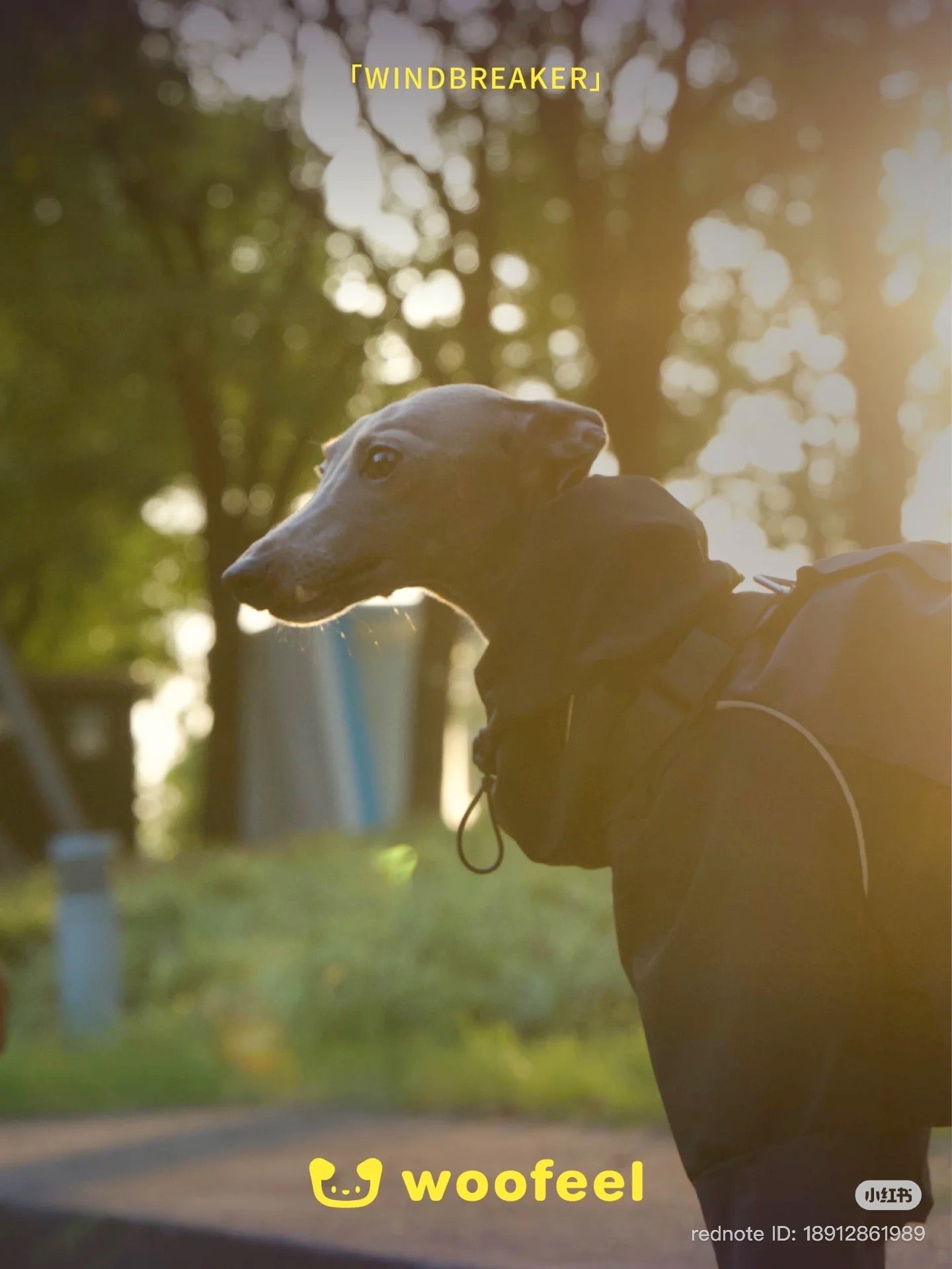 Woofeel Hard Shell Dog Jacket