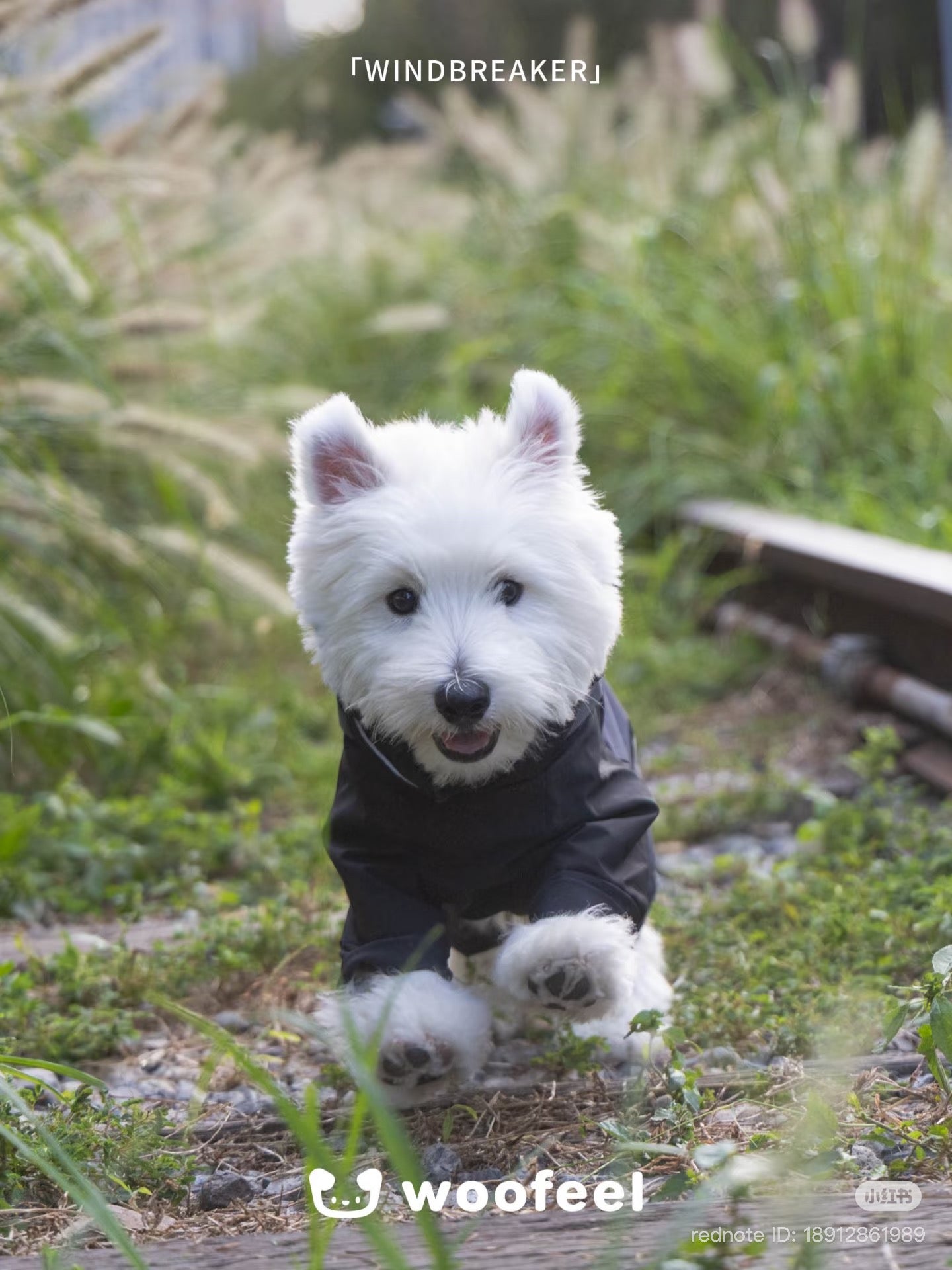 Woofeel Hard Shell Dog Jacket