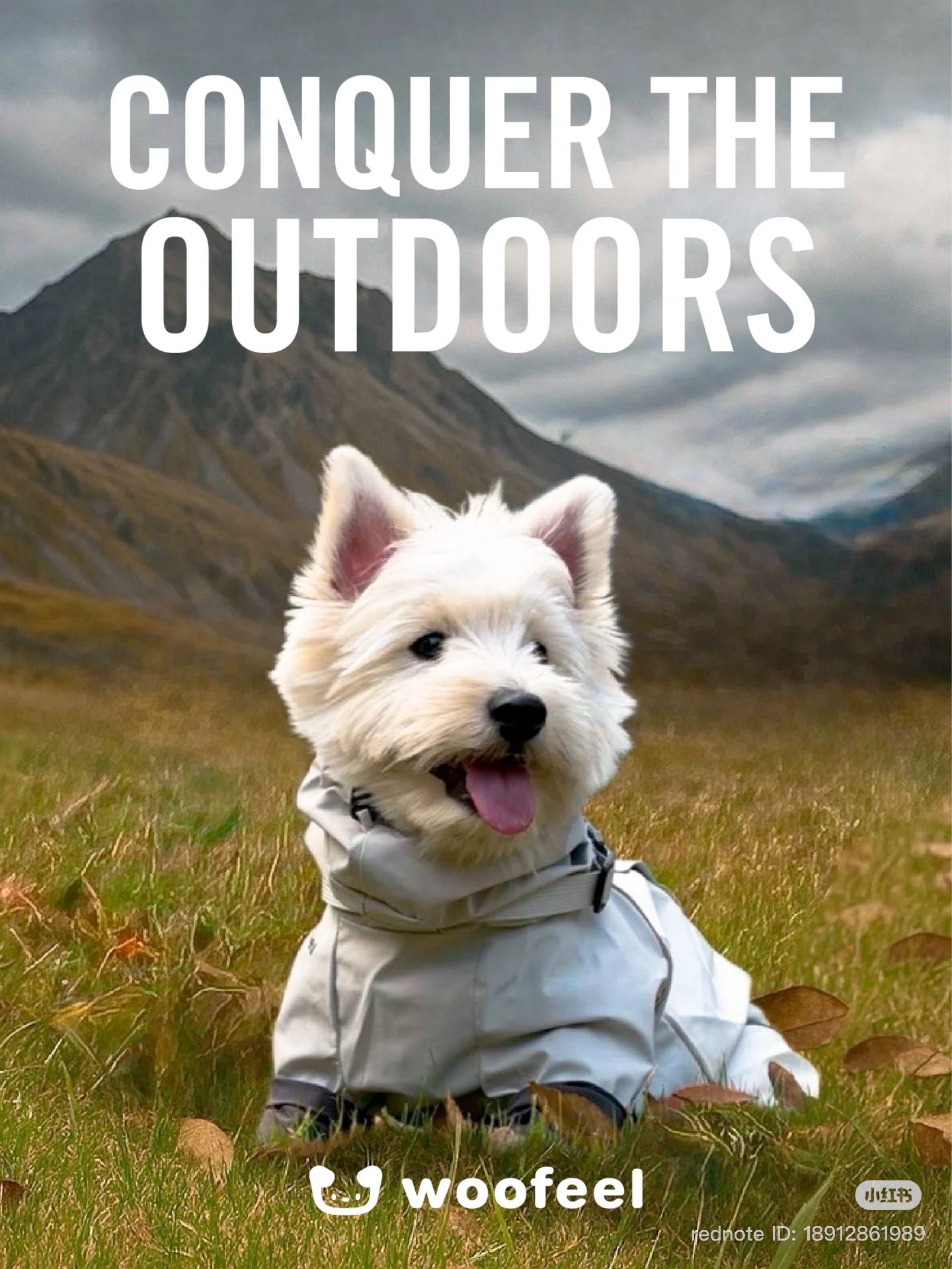 Woofeel Hard Shell Dog Jacket