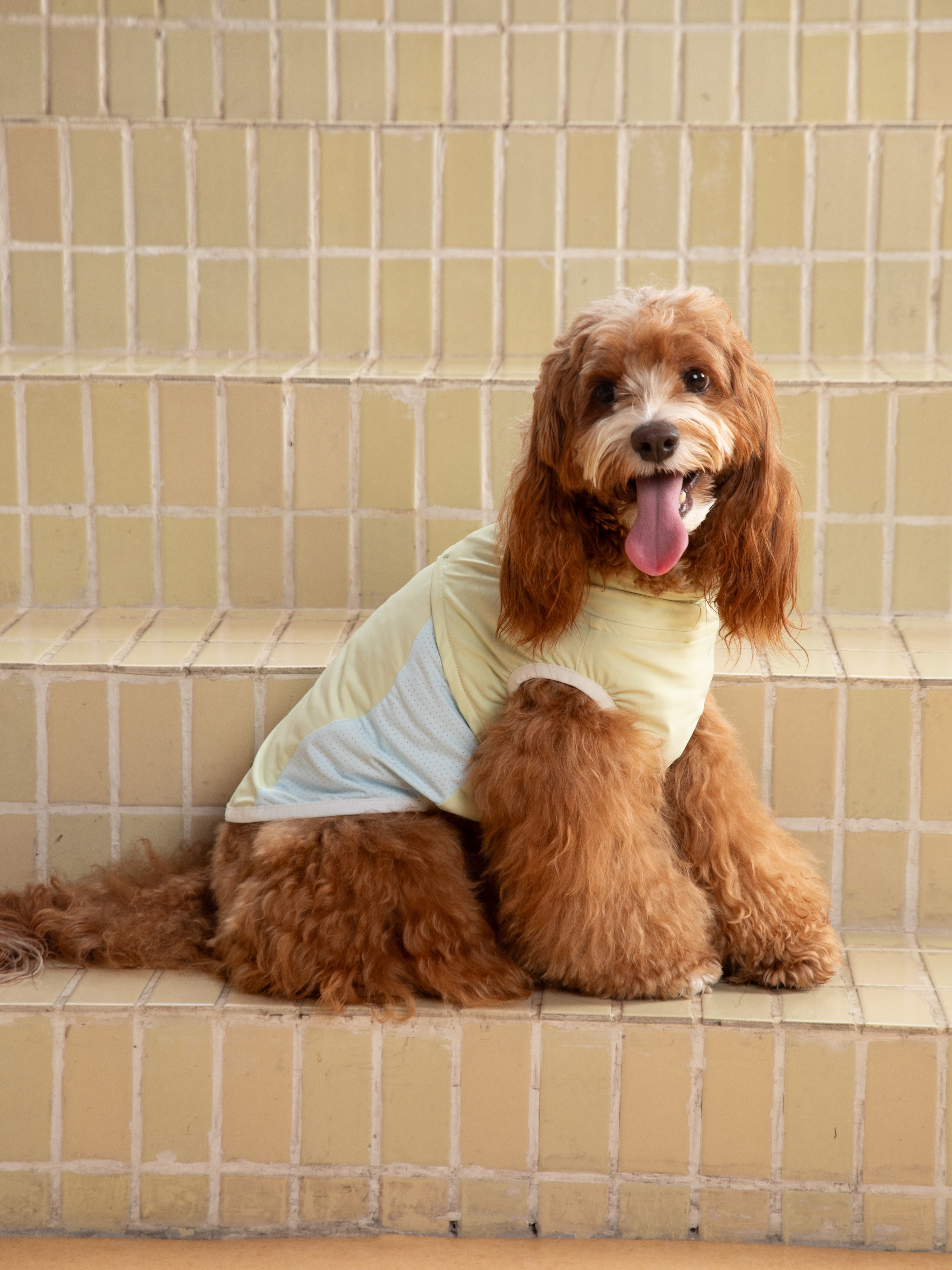 Cooling Vest