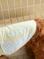 Cooling Vest