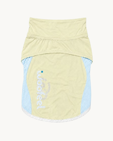 Cooling Vest