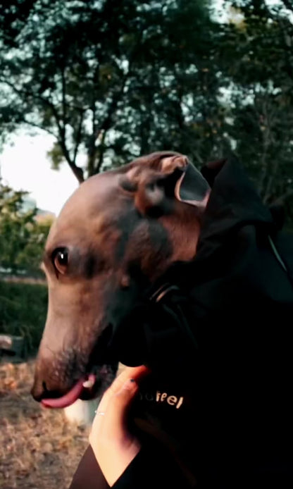 Woofeel Hard Shell Dog Jacket